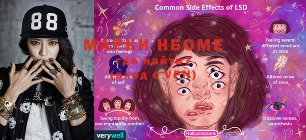 прущие грибы Новодвинск