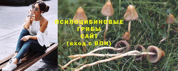 хмурый Балахна