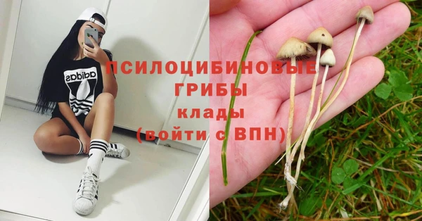 мяу мяу мука Балабаново