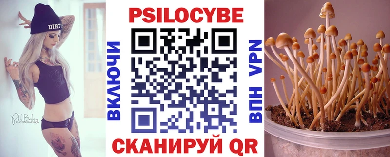 Псилоцибиновые грибы прущие грибы  Купить закладки  Ясный 